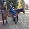 Equine Assisted Therapy introduced